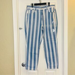 American Eagle Striped Mom Jean Size 14